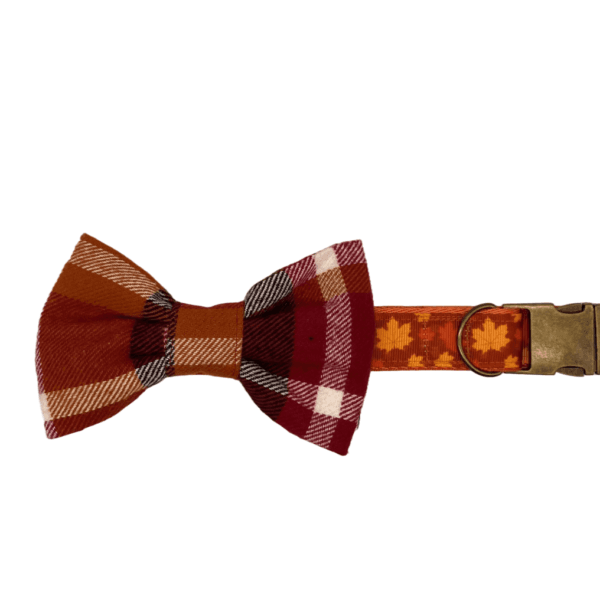 autumn leaves adjustable dog collar bowtie