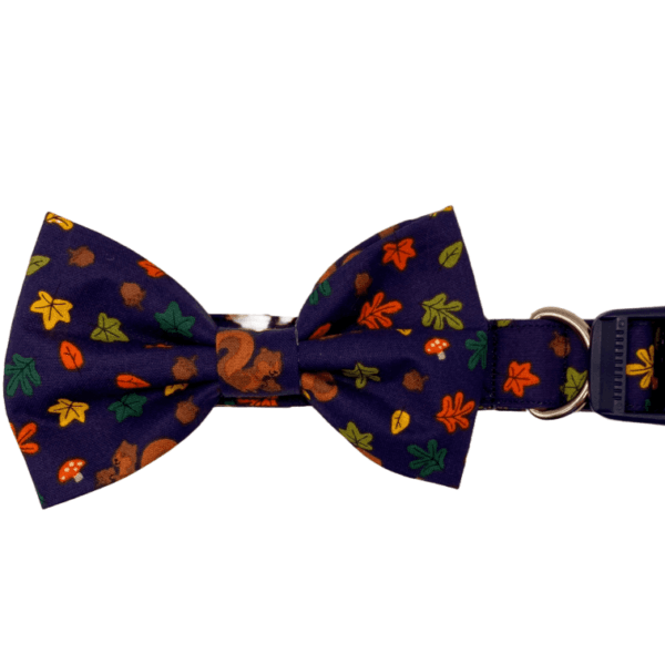 autumn squirrels adjustable dog collar bowtie