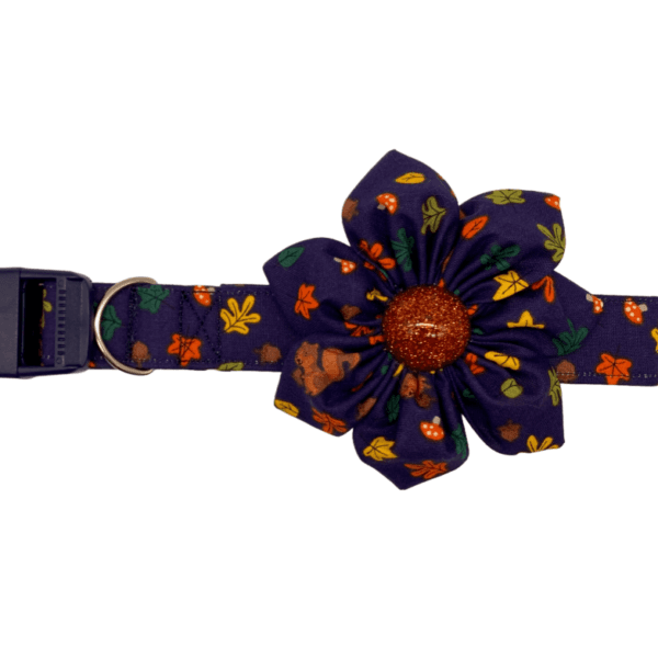 autumn squirrels adjustable dog collar flower