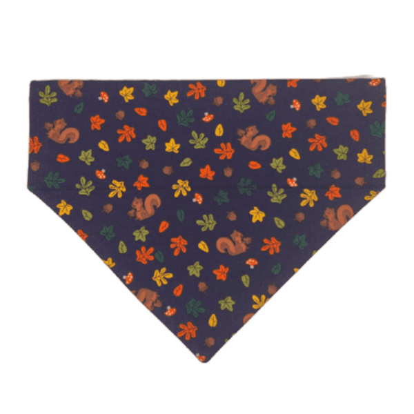 autumn squirrels over the collar bandana