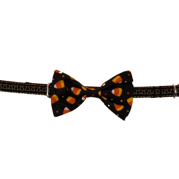 black candy corn adjustable collar little dogs