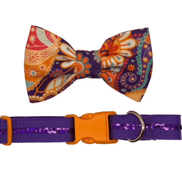 boho multicolor collar