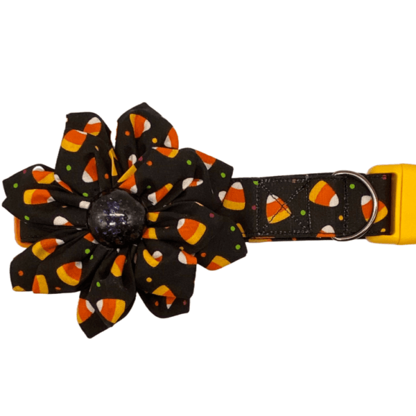 candy corn flower adjustable dog collar