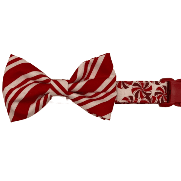 christmas red striped peppermint bowtie adjustable dog collar