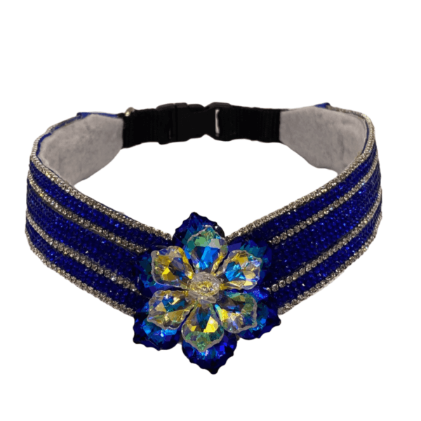 custom collar for joy