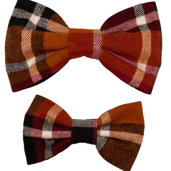 fall plaid bowtie