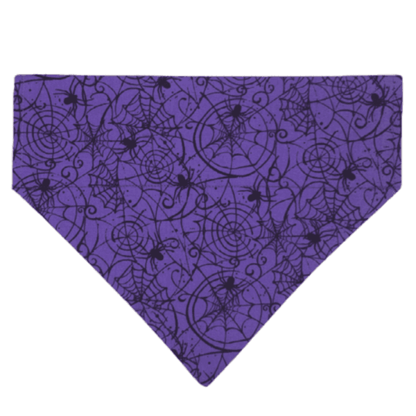 halloween spiders over the collar bandana