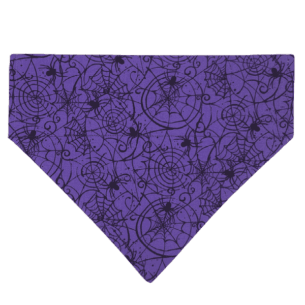 halloween spiders over the collar bandana