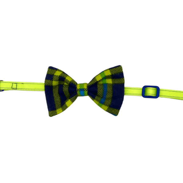 neon lime and blue plaid adjustable collar little dogs