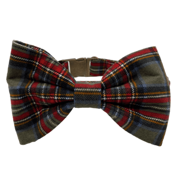 olive plaid bowtie adjustable dog collar