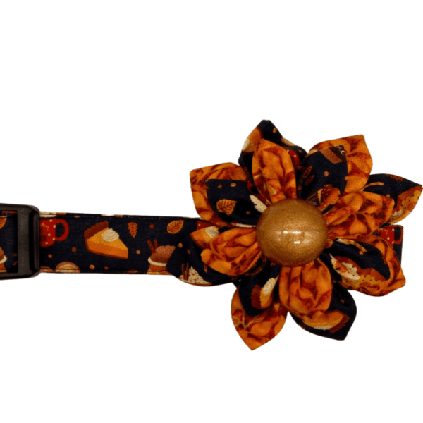 pumpkin spice adjustable dog collar flower