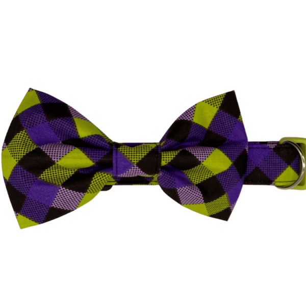 purple and lime checkered adjustable dog collar