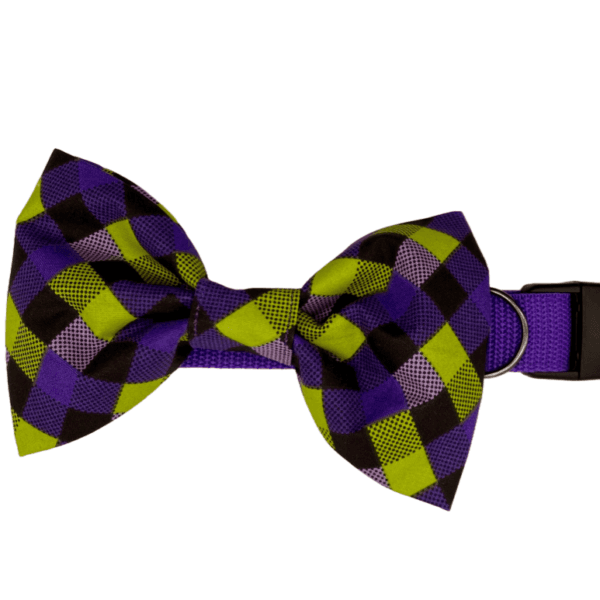 purple and lime checkered adjustable dog collar