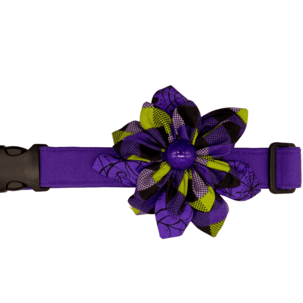 purple and lime checkered flower adjustable dog collar