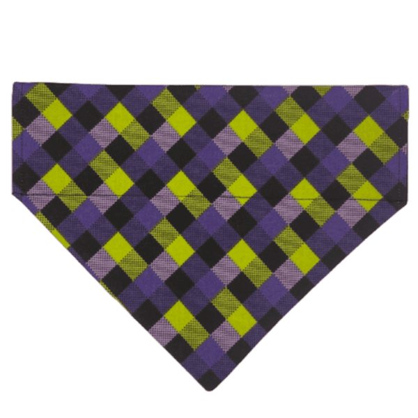 purple and lime checkered over the collar bandana