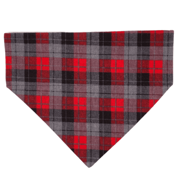 red and gray plaid over the collar bandana