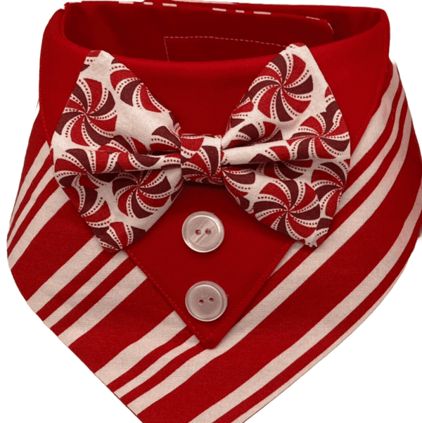 red peppermint tuxedo bandana