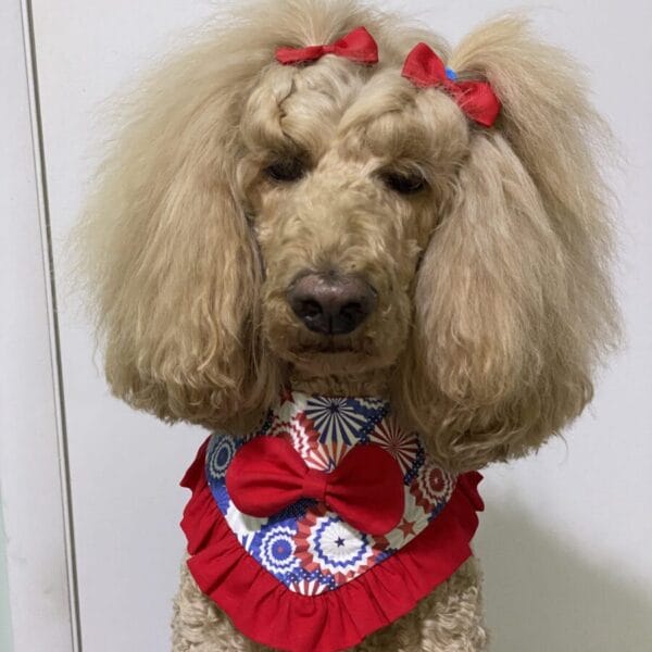 ruffled fourth of july celebration bandana