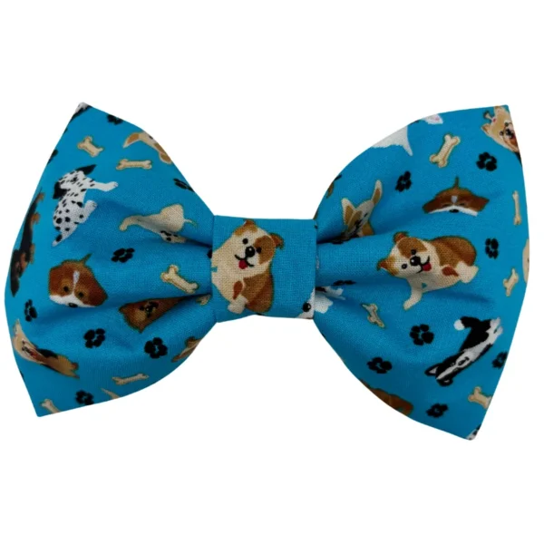 puppy love bougie bowtie