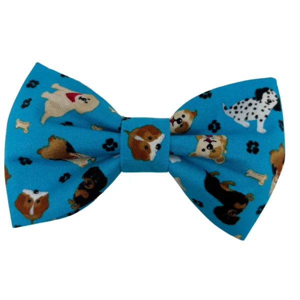 puppy love bougie bowtie