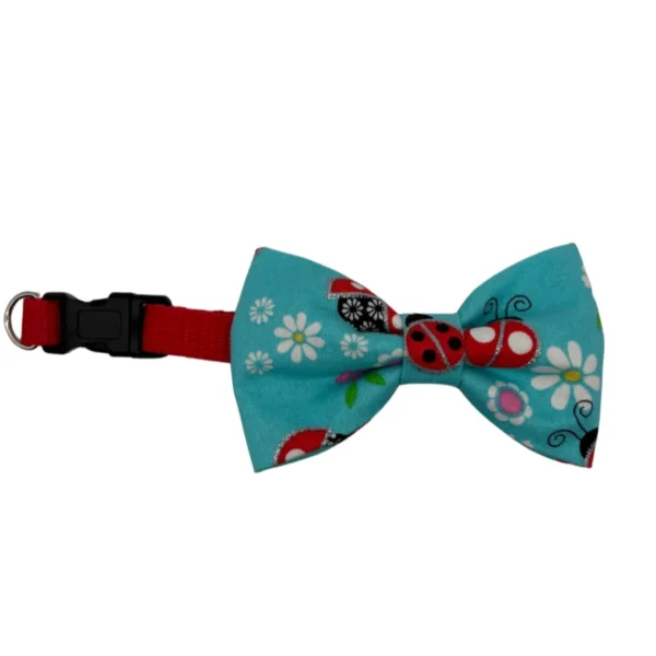 sparkly ladybug blue bowtie collar for little dogs or cats